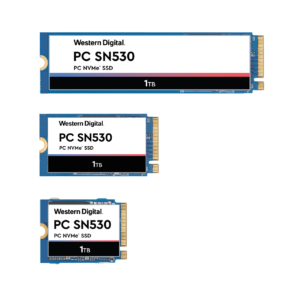 WD / SanDisk SDBPNPZ-1T00 M.2 2280 1TB